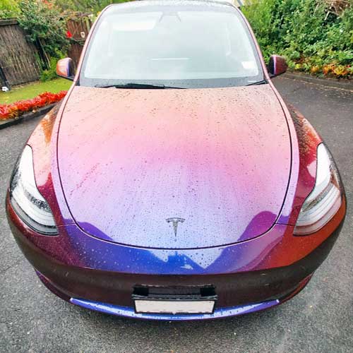 tesla bonnet